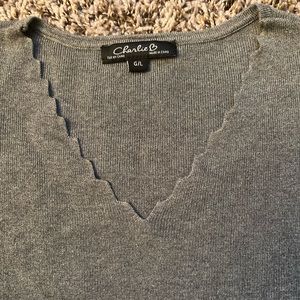 Used Basic V-Neck sweater color Grey size L CharlieB